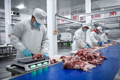 宁夏肉牛和滩羊产业基础日益坚实，产业后端仍需发力——以肉牛屠宰环节为例